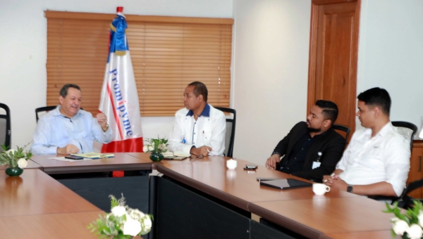 Gestión Medioambiental de Promipyme presenta "Master Plan Mipymes"